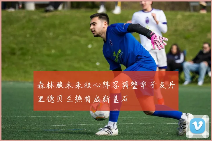 森林狼未来核心阵容调整华子麦丹里德贝兰热将成新基石