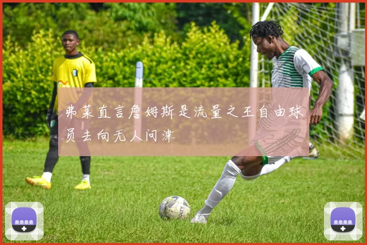 弗莱直言詹姆斯是流量之王自由球员去向无人问津