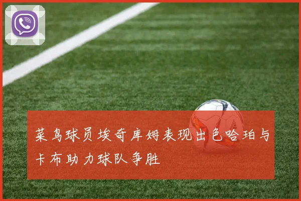 菜鸟球员埃奇库姆表现出色哈珀与卡布助力球队争胜
